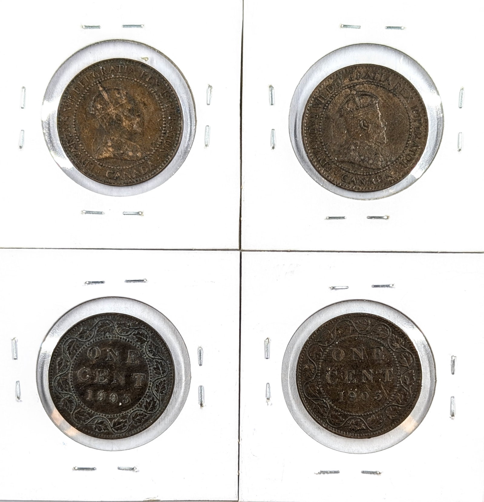 Lot of 4- 1903 Canadian Large Cents - 2