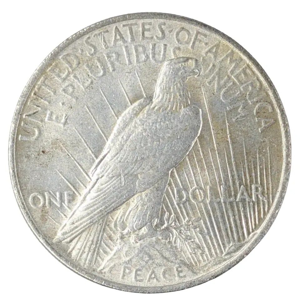 1923 Silver Peace Dollar- Soft Toning - 2