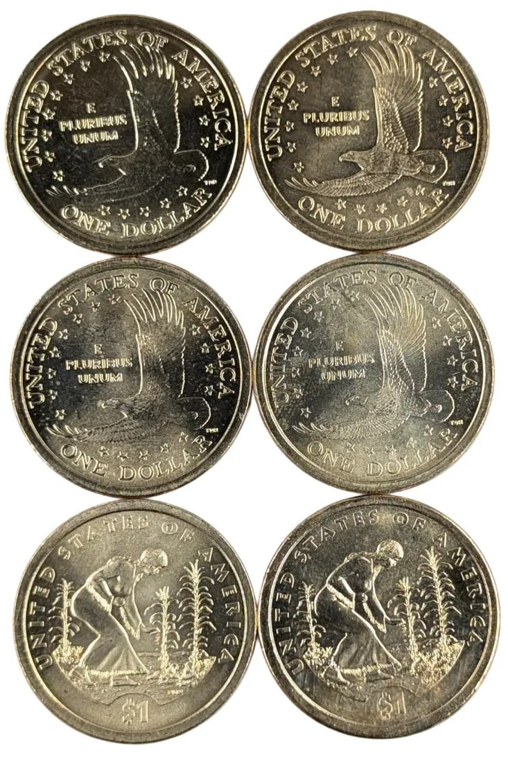 Lot of 6 Sacagawea $1 Dollar Coins - 2005-2009 - 2