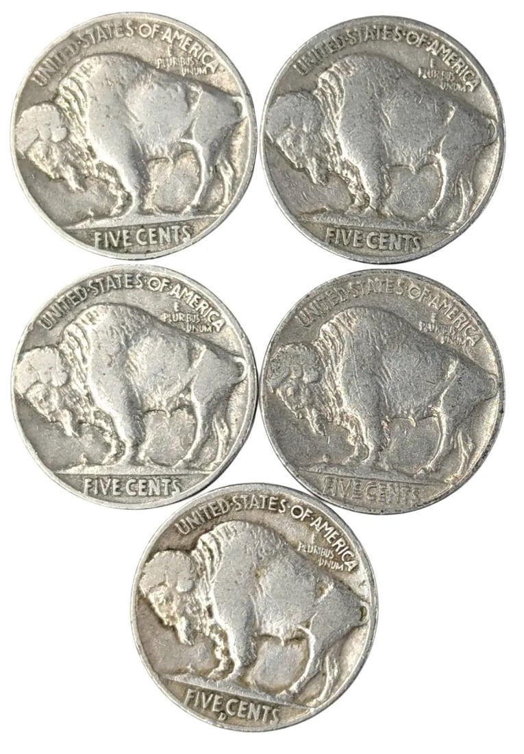 Lot of 5 Buffalo Head Nickels - 1930-1938 - 2