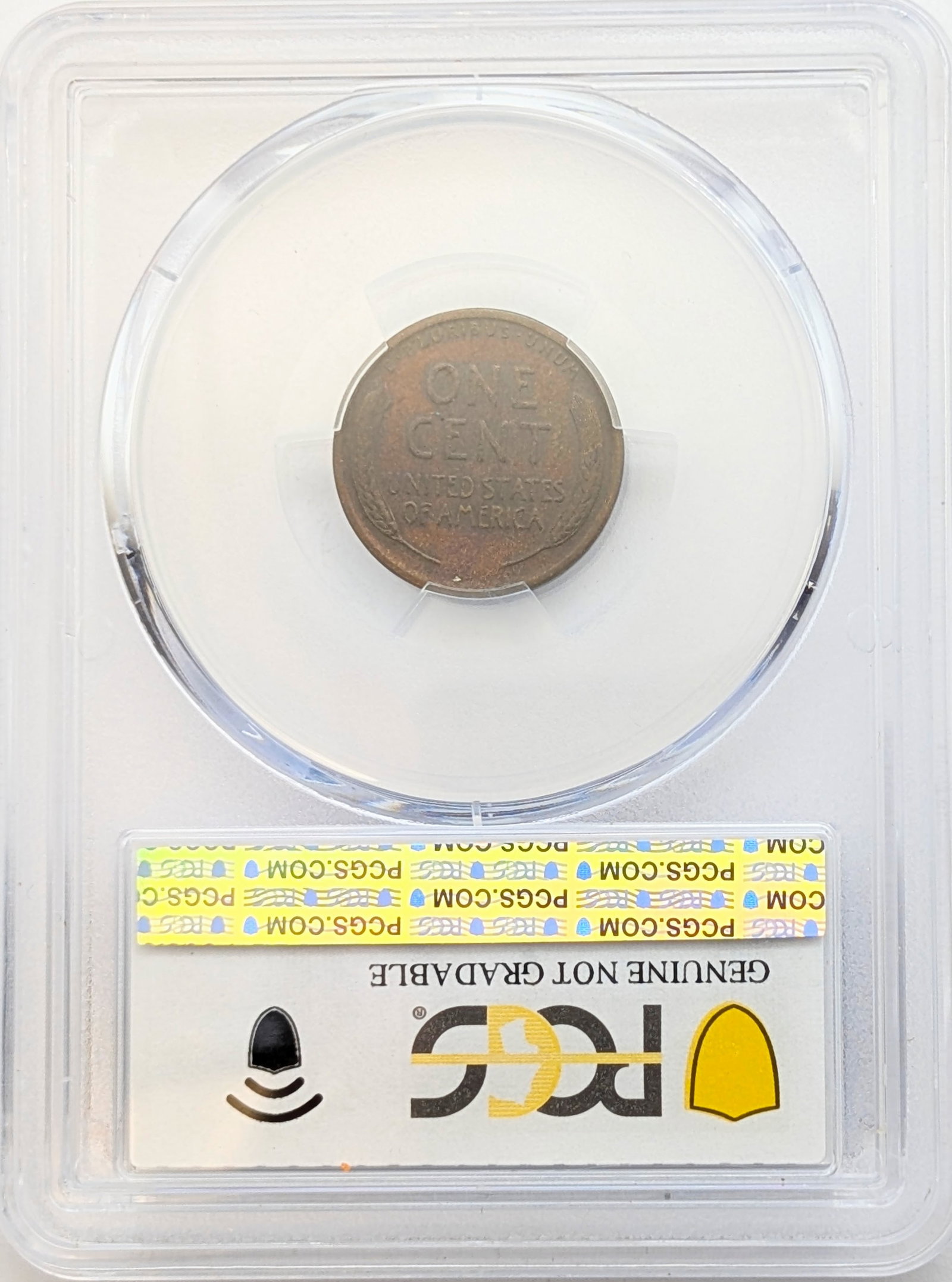 FEATURE: 1922 No D PCGS Genuine VF Detail - Strong Reverse - 3