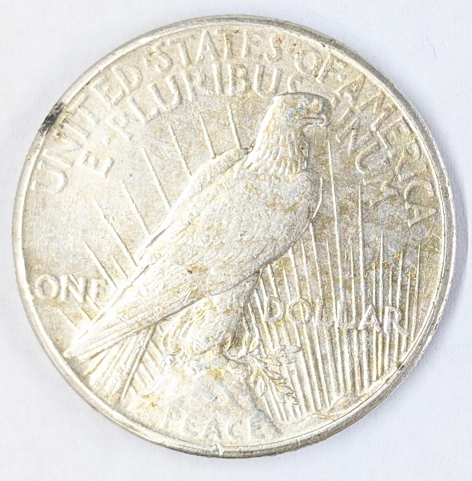 1925 Silver Peace Dollar - 2