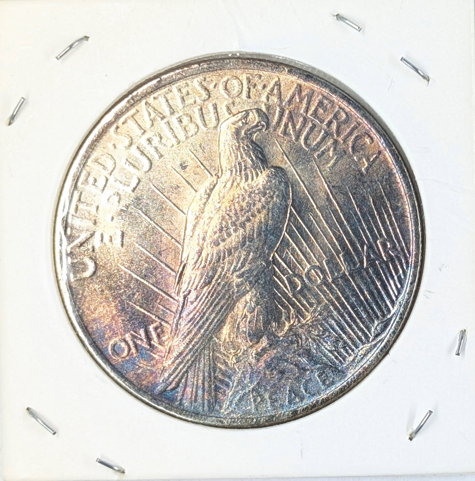 FEATURE - Stunning Toned Peace Dollar! - 2