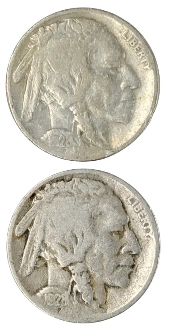 Lot of 2 Buffalo Head Nickels - 1928 P/D: _