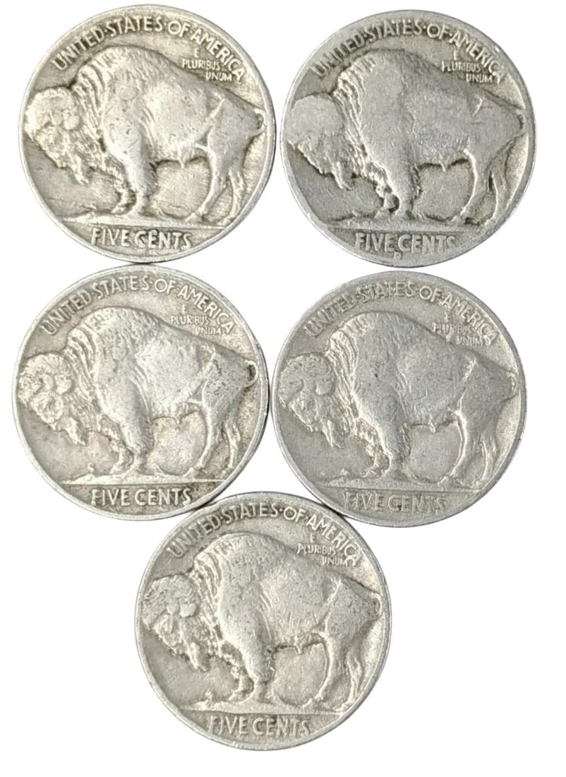 Lot of 5 Buffalo Head Nickels - 1930-1937 - 2
