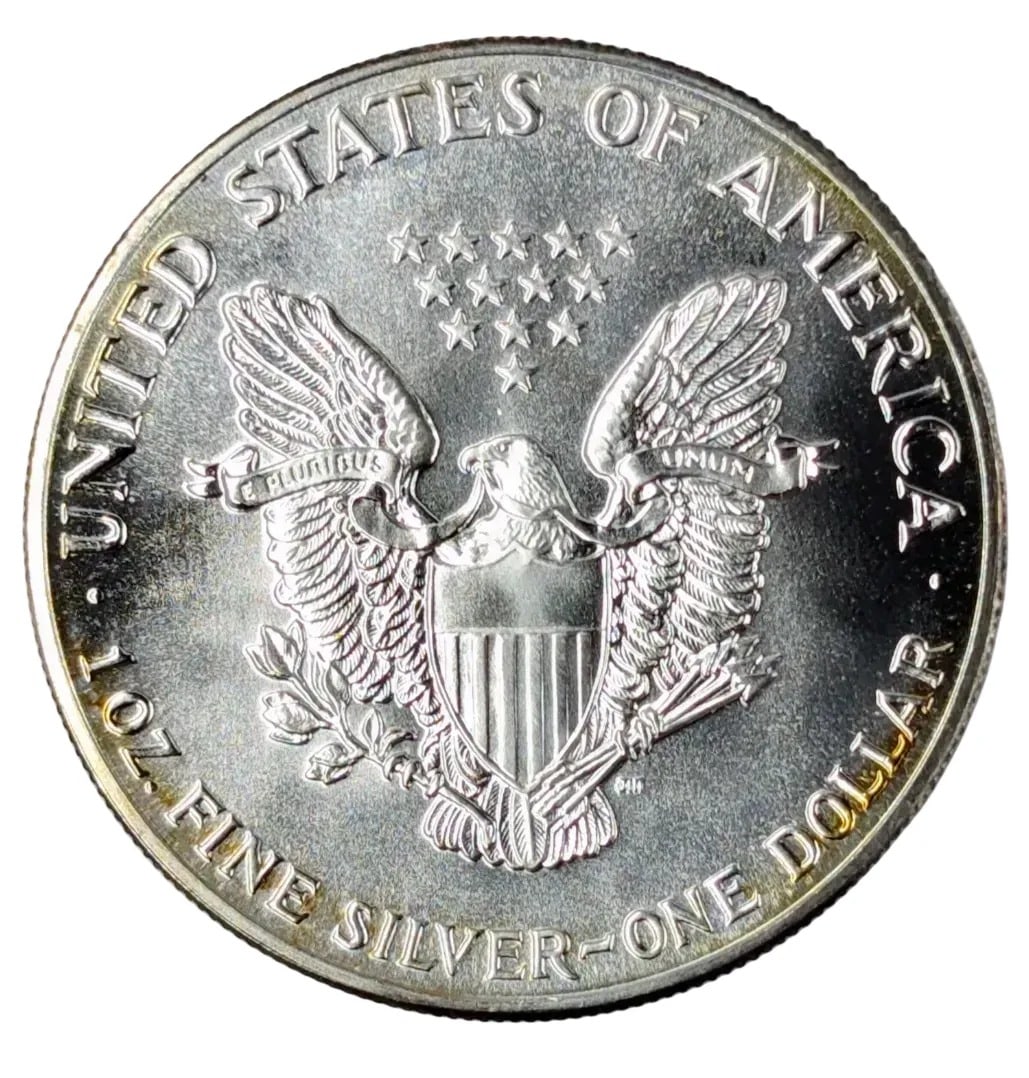 1987 American Silver Eagle- First Year of Issue, Toned - 2