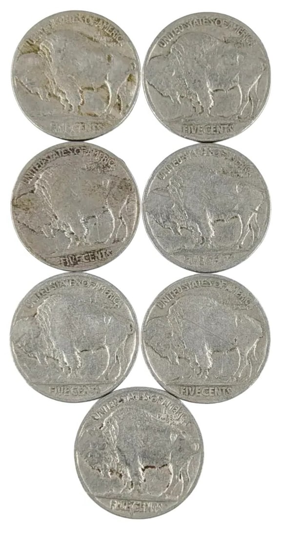 Lot of 7 Buffalo Head Nickels- 1926-1929 - 2