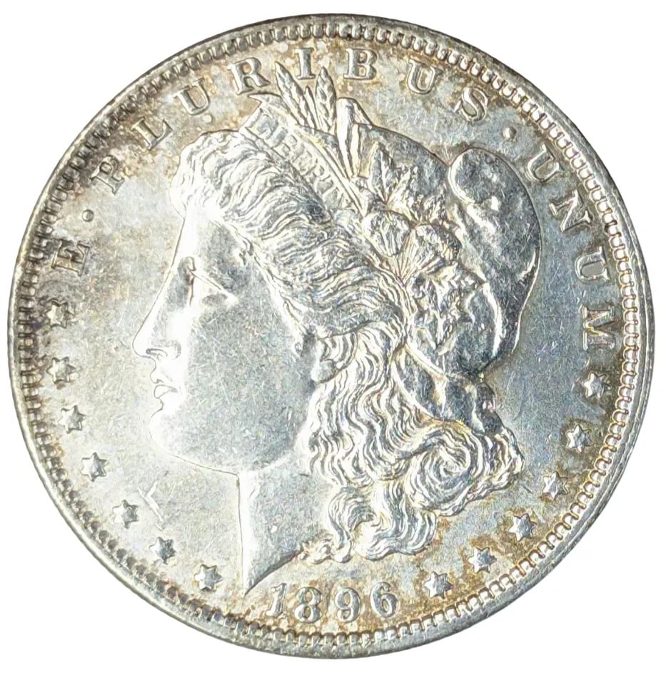 1896 Morgan Silver Dollar- Toned (1 of 2)