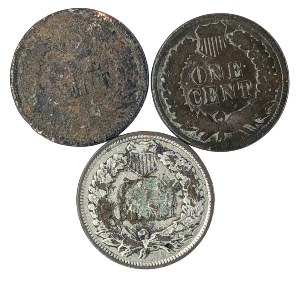 Lot of 3 Indian Head Cents- 1887-1895 - 2