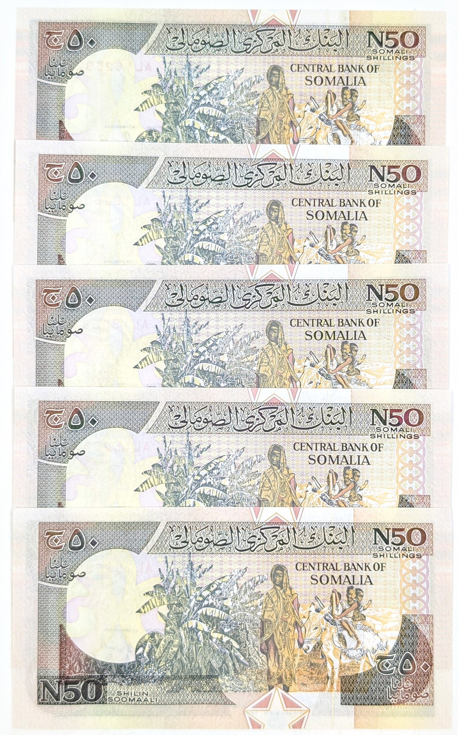 Lot of 5 1991 Somalia 50 New Shilling Banknotes - 2