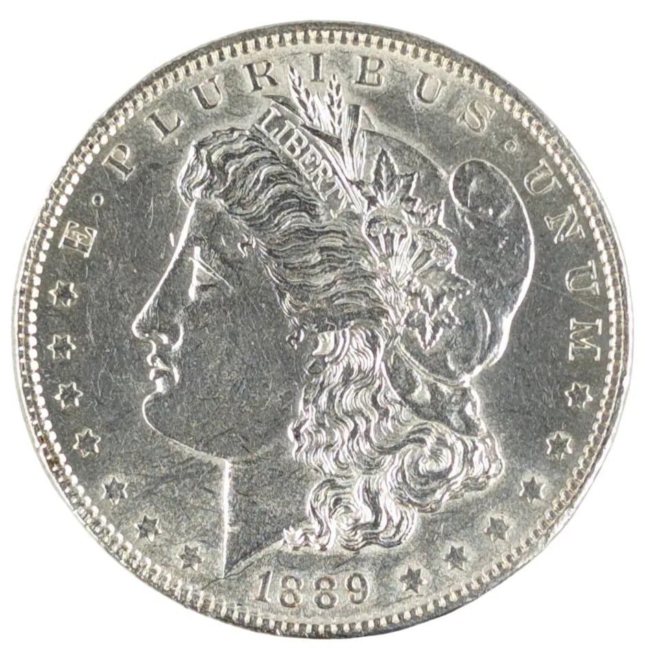 1889 Morgan Silver Dollar (1 of 2)