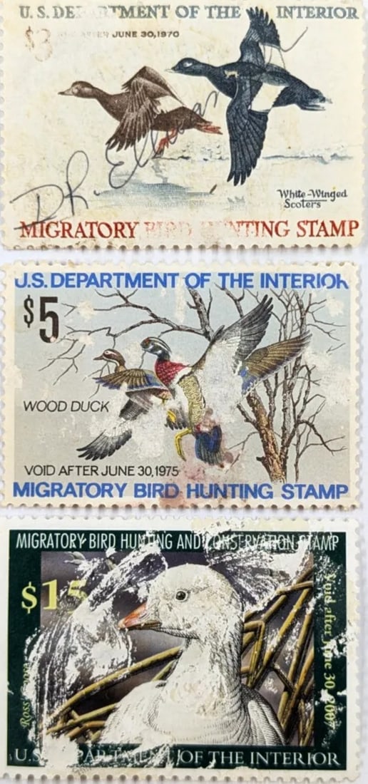 Lot of 3 Vintage US Federal Duck Stamps: _