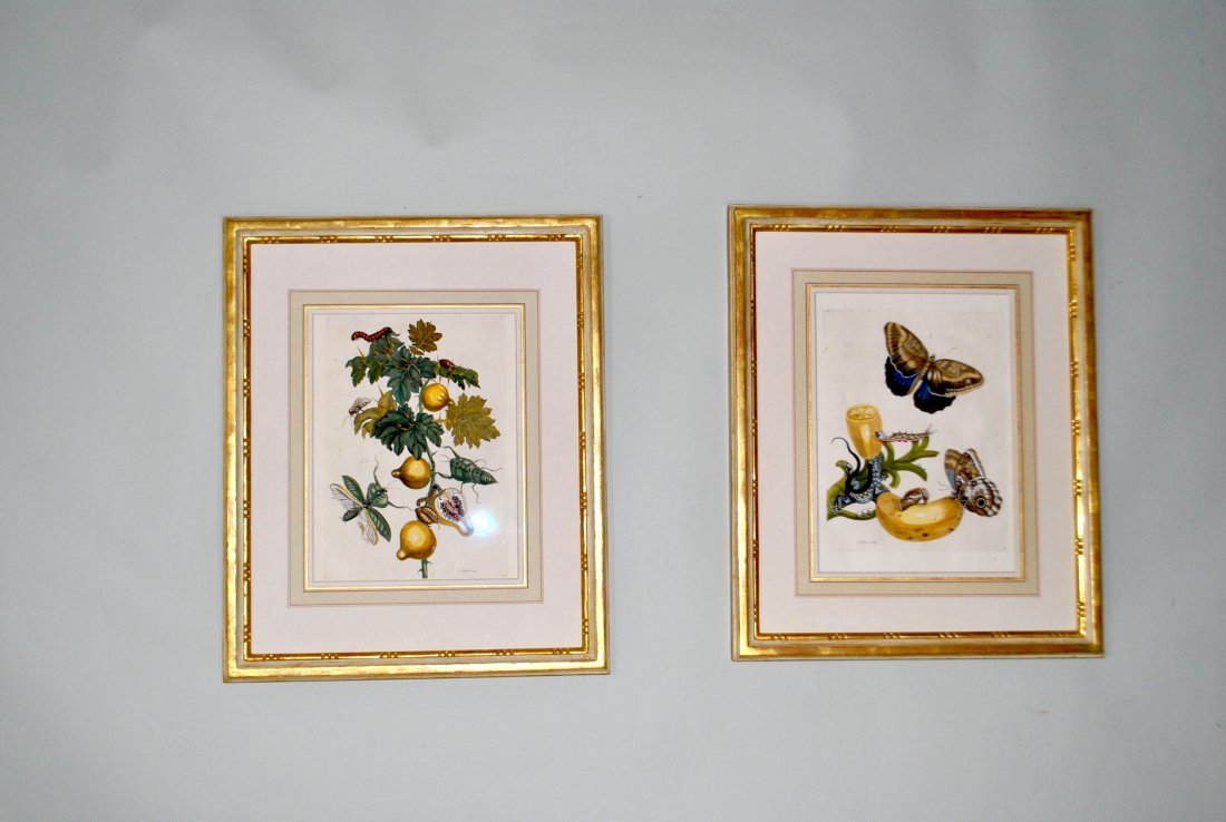 2 Hand Colored Engravings (1 of 10)