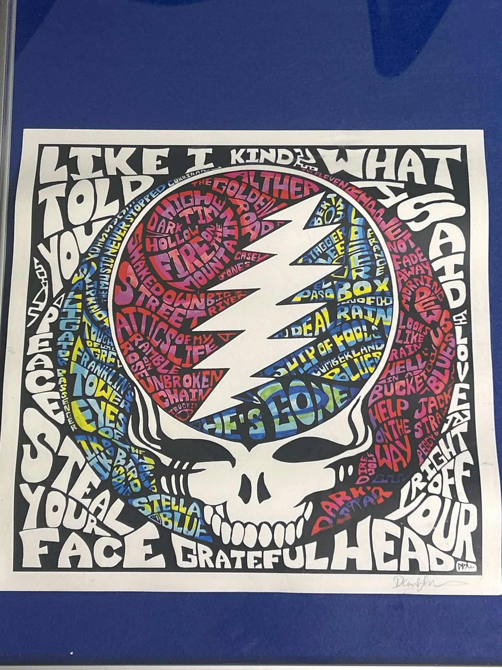 Grateful Dead SYF Steal Your Face Song Titles Artwork, Poster, DBS 2010, Signed Danny Steinman (1 of 5)