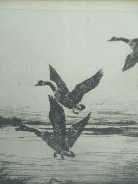 Antique - Frank W. Benson - American - Waterfowl e: "The Resting Place" - Framed & matted under glass - measures 12" x 10.75" overall