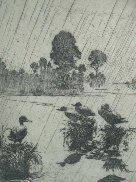 Antique - Frank W. Benson - American - Waterfowl e: "Ducks in the rain" - Framed & matted under glass - measures 15.5" x 15.5" overall