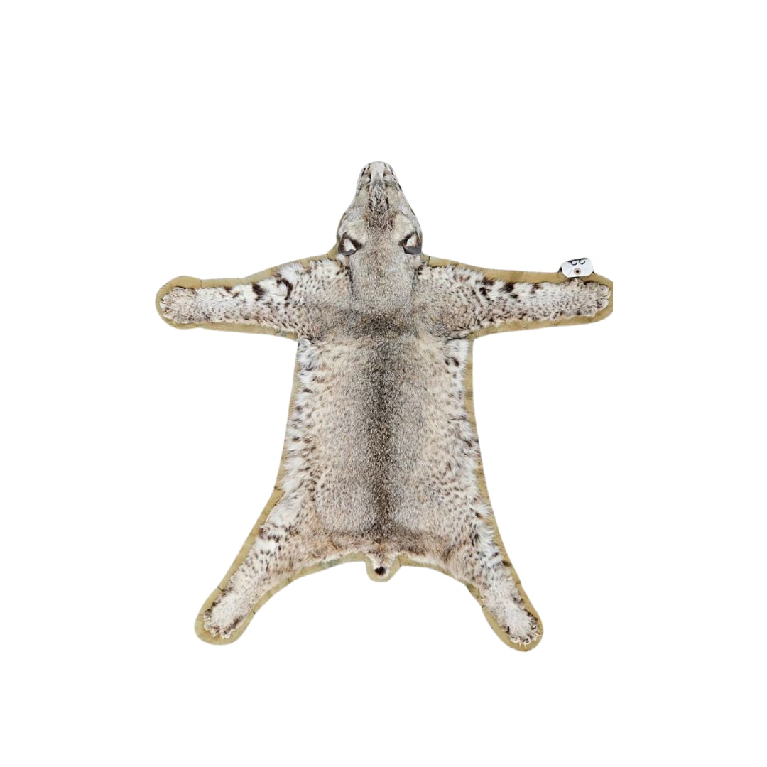 Bobcat Hide (1 of 3)