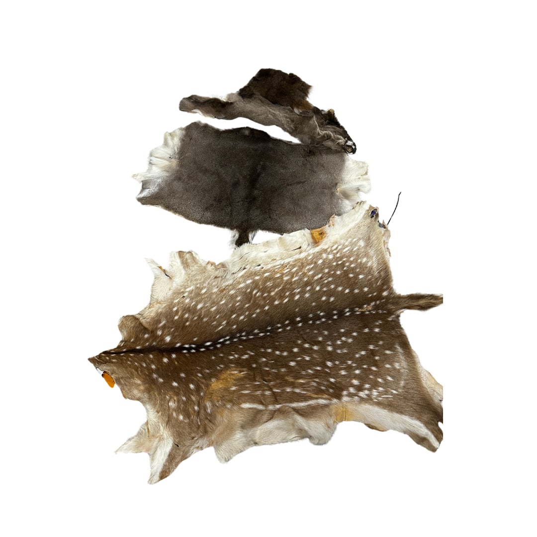 Collection of (3) Piece Deer Hides (1 of 3)