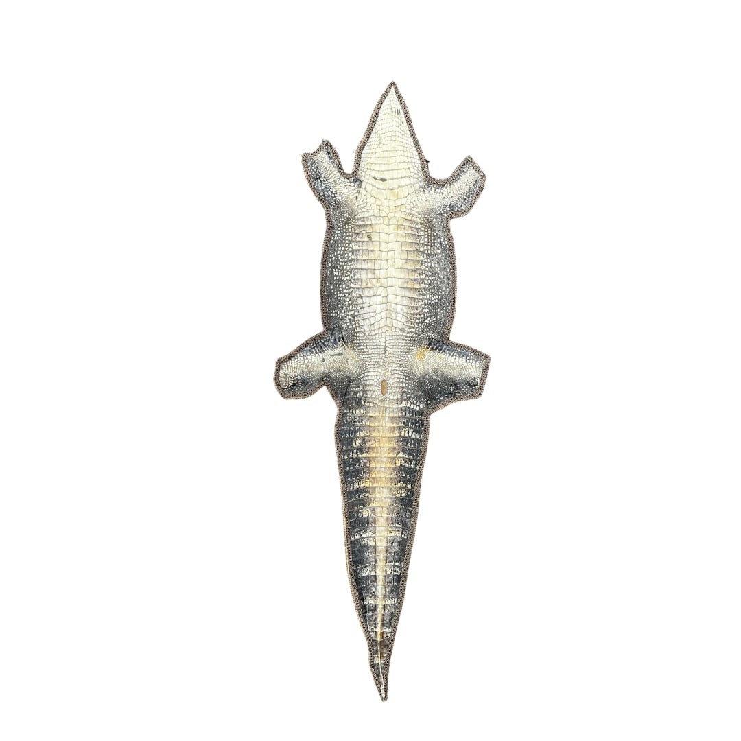 Mounted Aligator Hide: Mounted Aligator Hide 91" x 33" Please take a moment to review our detailed Shipping Policy and Terms and Conditions before placing any bids. Understanding these policies ensures a smooth and informed