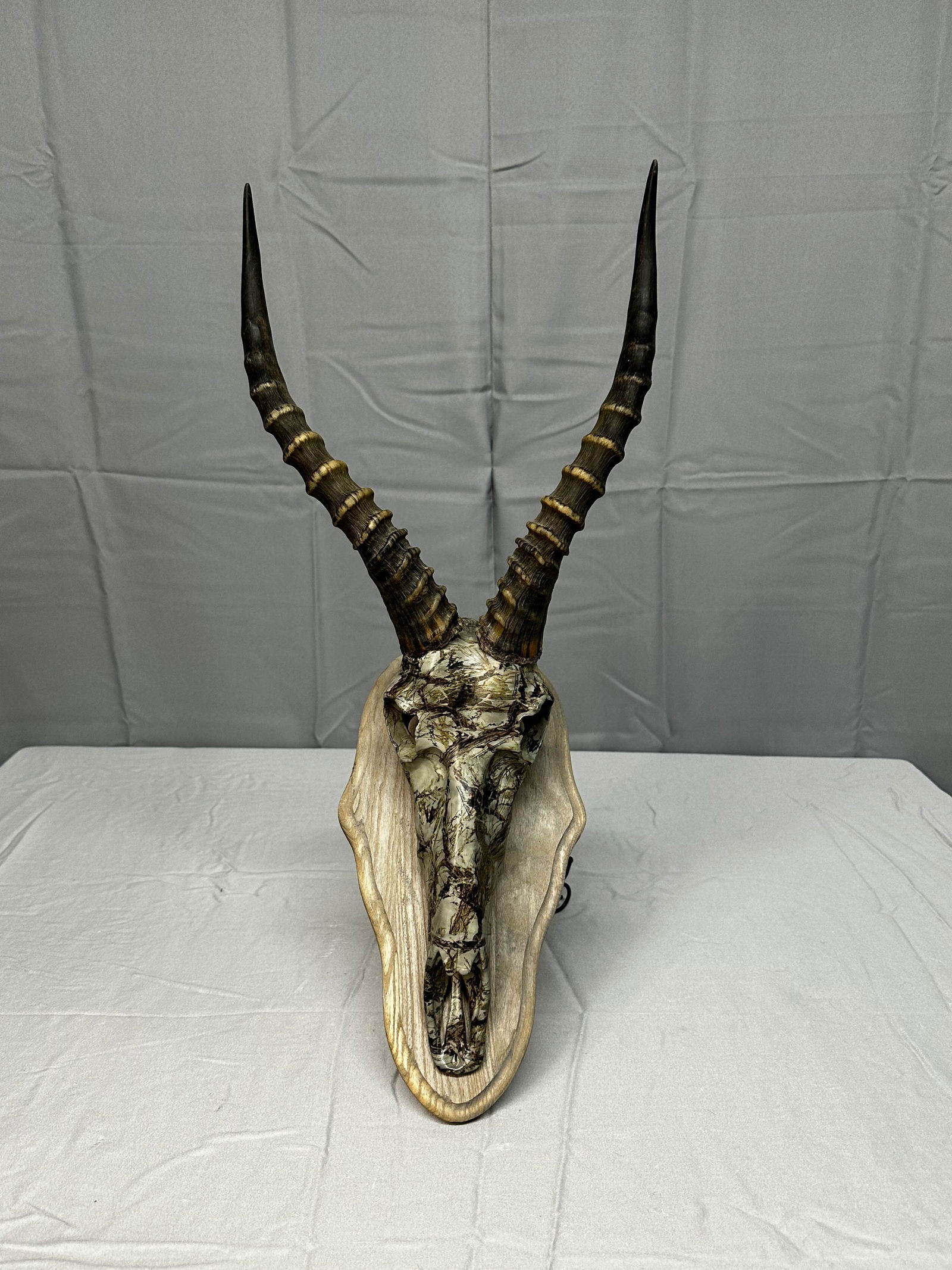 Camo Impala Skull (1 of 3)