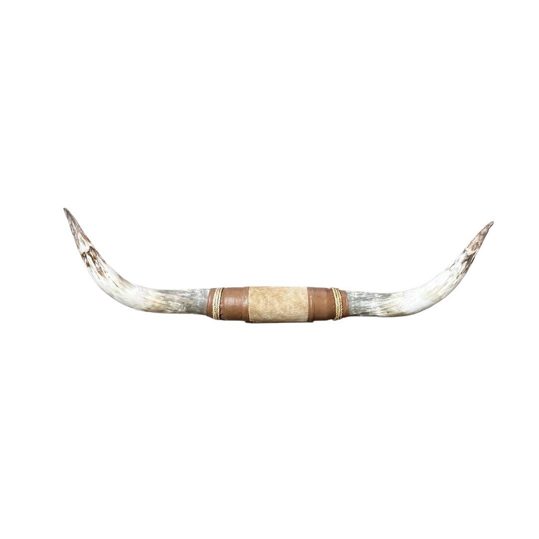 Texas Longhorns (1 of 1)