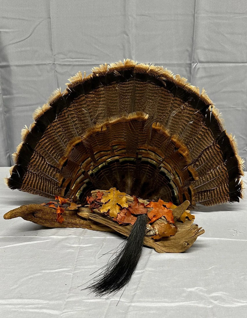 Wild Turkey Fan on Wood: Wild Turkey Fan on Wood 27" W x 17" T x 10" deep Please take a moment to review our detailed Shipping Policy and Terms and Conditions before placing any bids. Understanding these policies ensures a sm