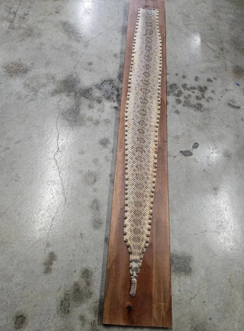 Rattlesnake Skin on Wood : Rattlesnake Skin on Wood 72" x 9.5" Please take a moment to review our detailed Shipping Policy and Terms and Conditions before placing any bids. Understanding these policies ensures a smooth and info