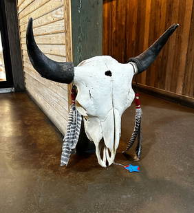 Bison Skull with Feathers: Bison Skull featuring bullet hole with Feather Decor Please take a moment to review our detailed Shipping Policy and Terms and Conditions before placing any bids. Understanding these policies ensures
