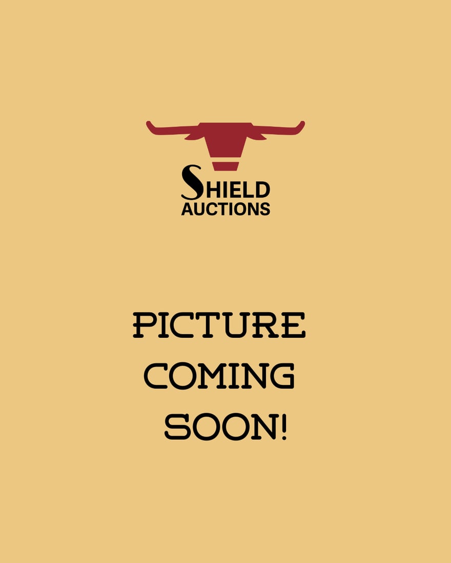 12-Point Whitetail Shoulder Mount (1 of 9)