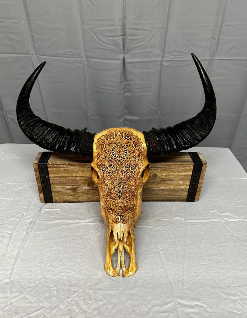 Etched Water Buffalo Skull (1 of 4)