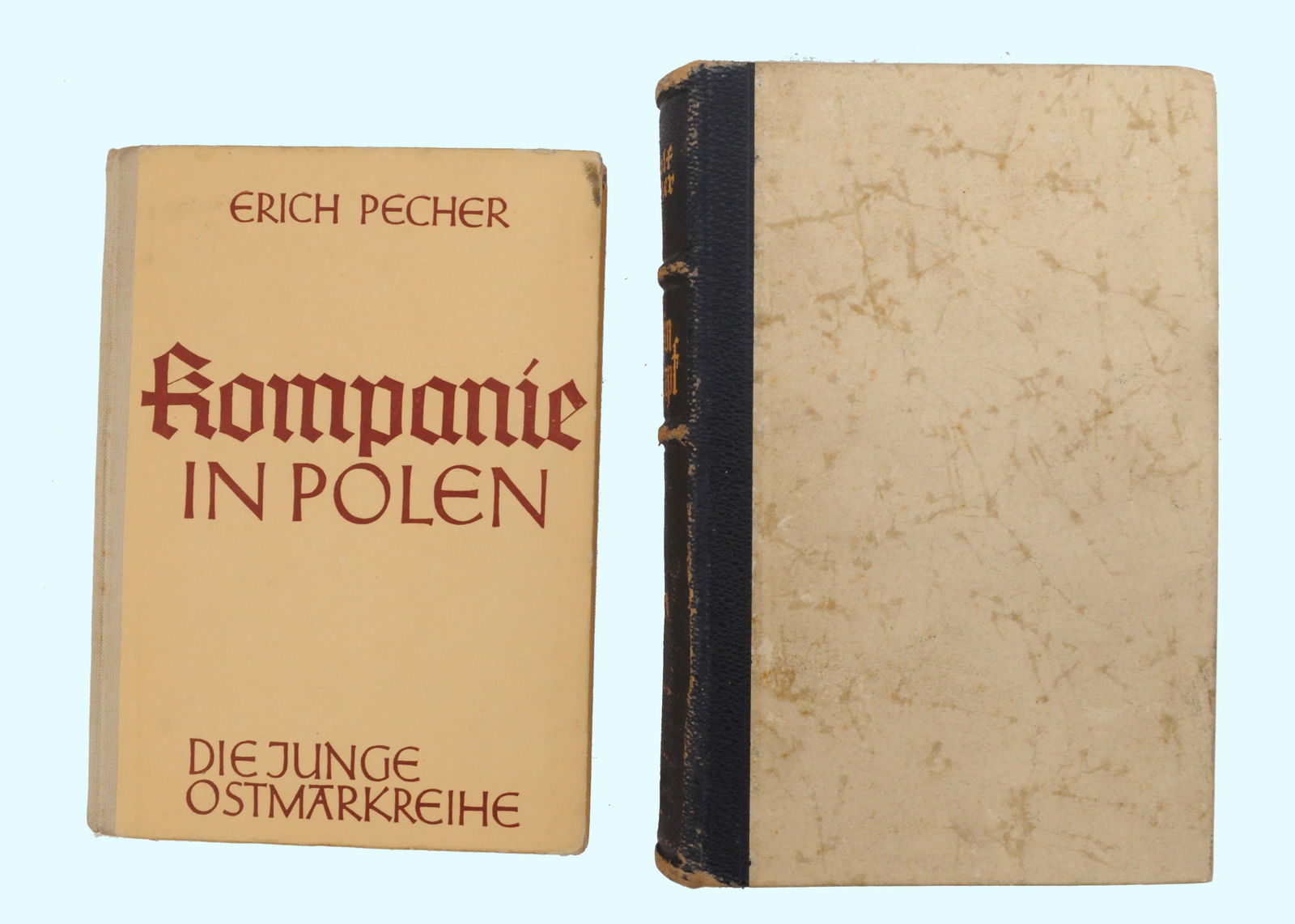 *German WWII era Books Lot of 2 - Mein Kampf (HKR) (1 of 12)