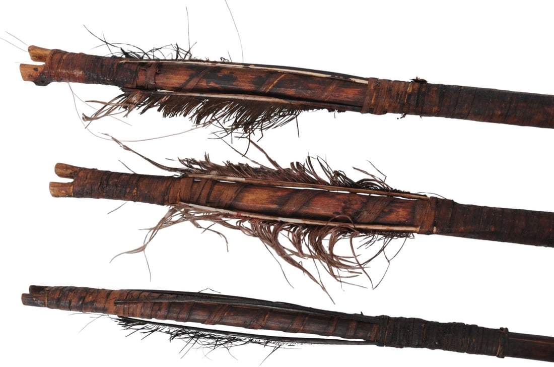 Papua New Guinea (Melanesian) Bow, Arrows & Quiver (HKR) - 3
