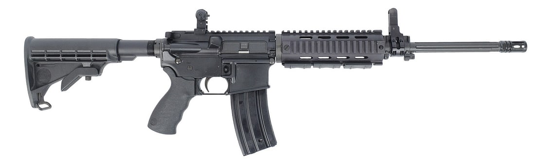 Bushmaster XM15-E2S 5.56mm Semi Auto Rifle FFL L431074 (G2L1) (1 of 9)