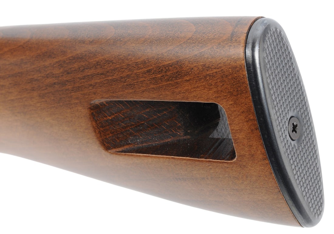 Chiappa M1-22 .22LR Semi-auto Rifle FFL Required: CFIT22F01054 (J4H1) - 10
