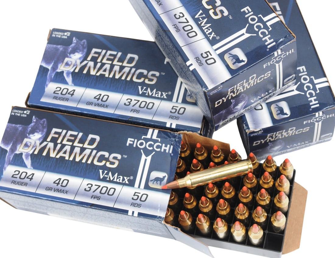 Winchester and Fiocchi 204 Ruger Lot of 440 Rds. (TS) - 3