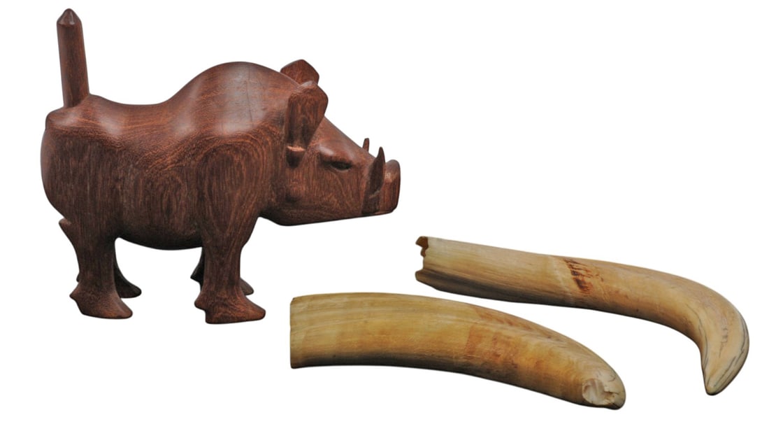 Vintage African Warthog Tusk and Effigy Set of 3(S2M): A Vintage African Warthog Tusk and Effigy Set of 3 in good to very good condition.