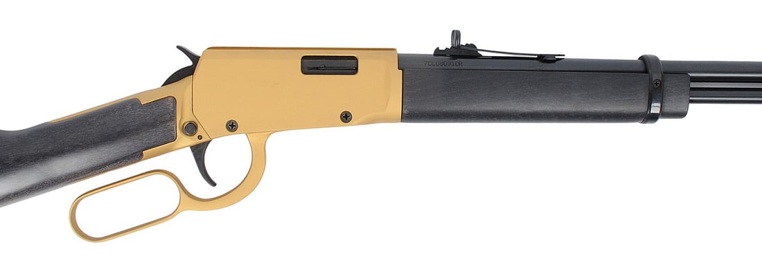 Rossi Model Rio Bravo 22LR Lever Action Rifle FFL 7CRL080910R (D4H1) - 2