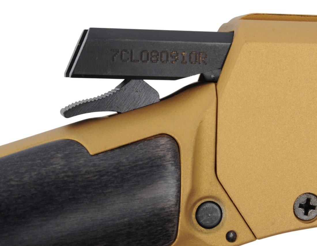 Rossi Model Rio Bravo 22LR Lever Action Rifle FFL 7CRL080910R (D4H1) - 5
