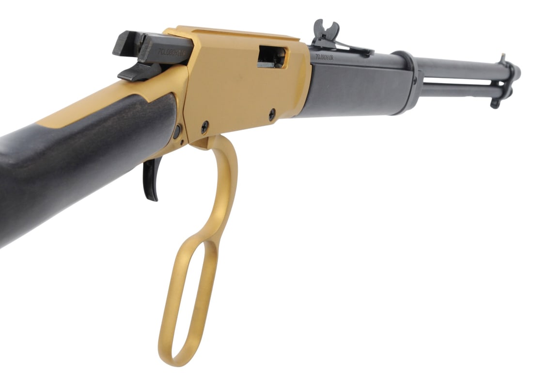 Rossi Model Rio Bravo 22LR Lever Action Rifle FFL 7CRL080910R (D4H1) - 7