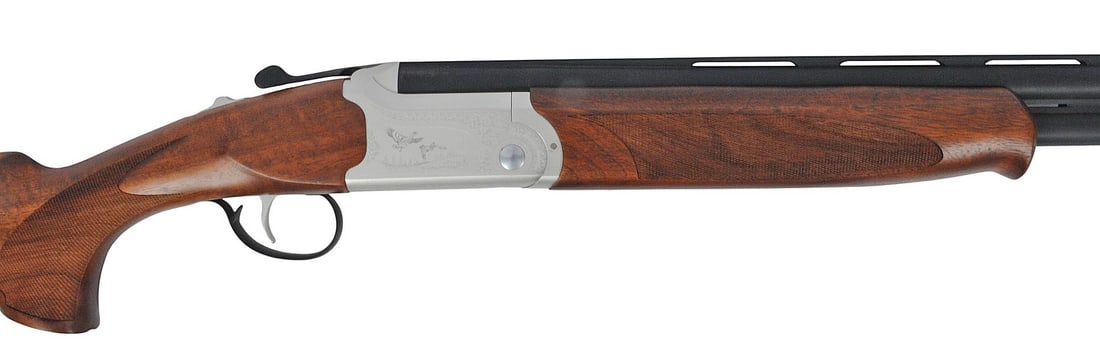SHOTGUN (A1) - 2