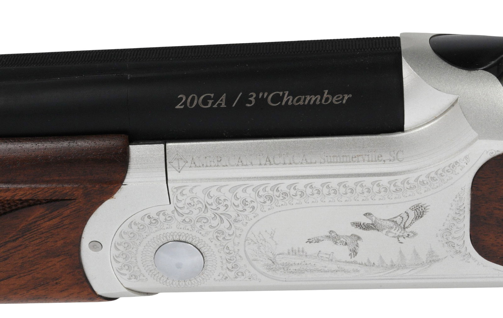 SHOTGUN (A1) - 5