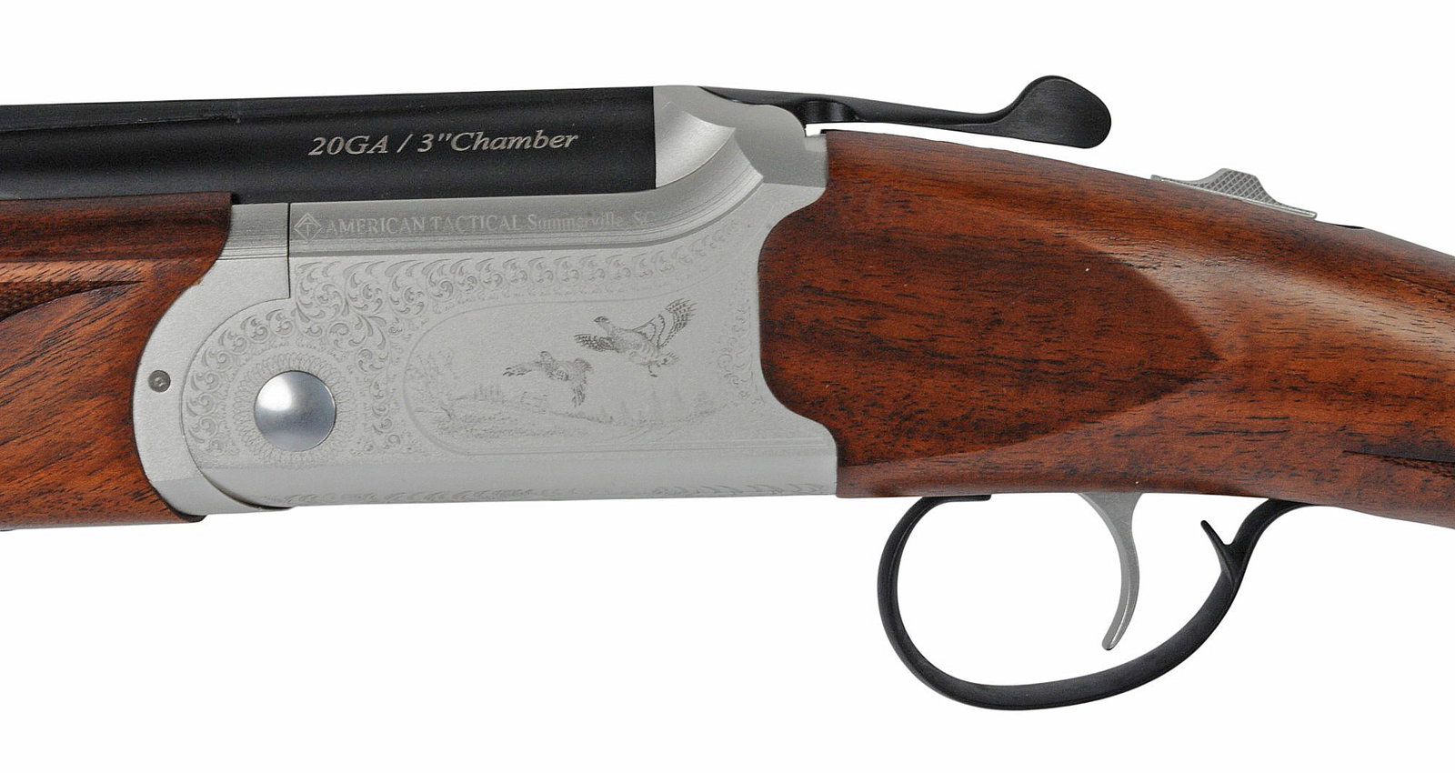 SHOTGUN (A1) - 6