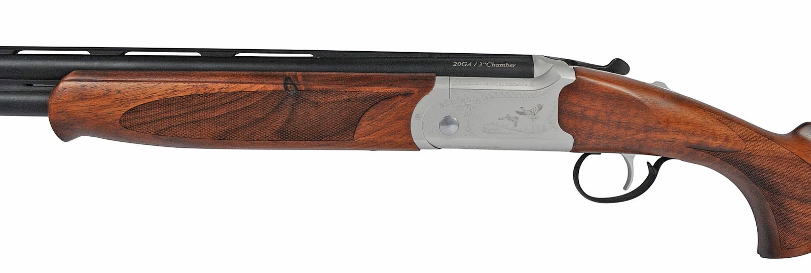 SHOTGUN (A1) - 8
