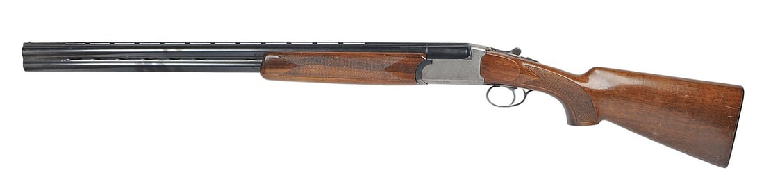 SHOTGUN (A1) - 6