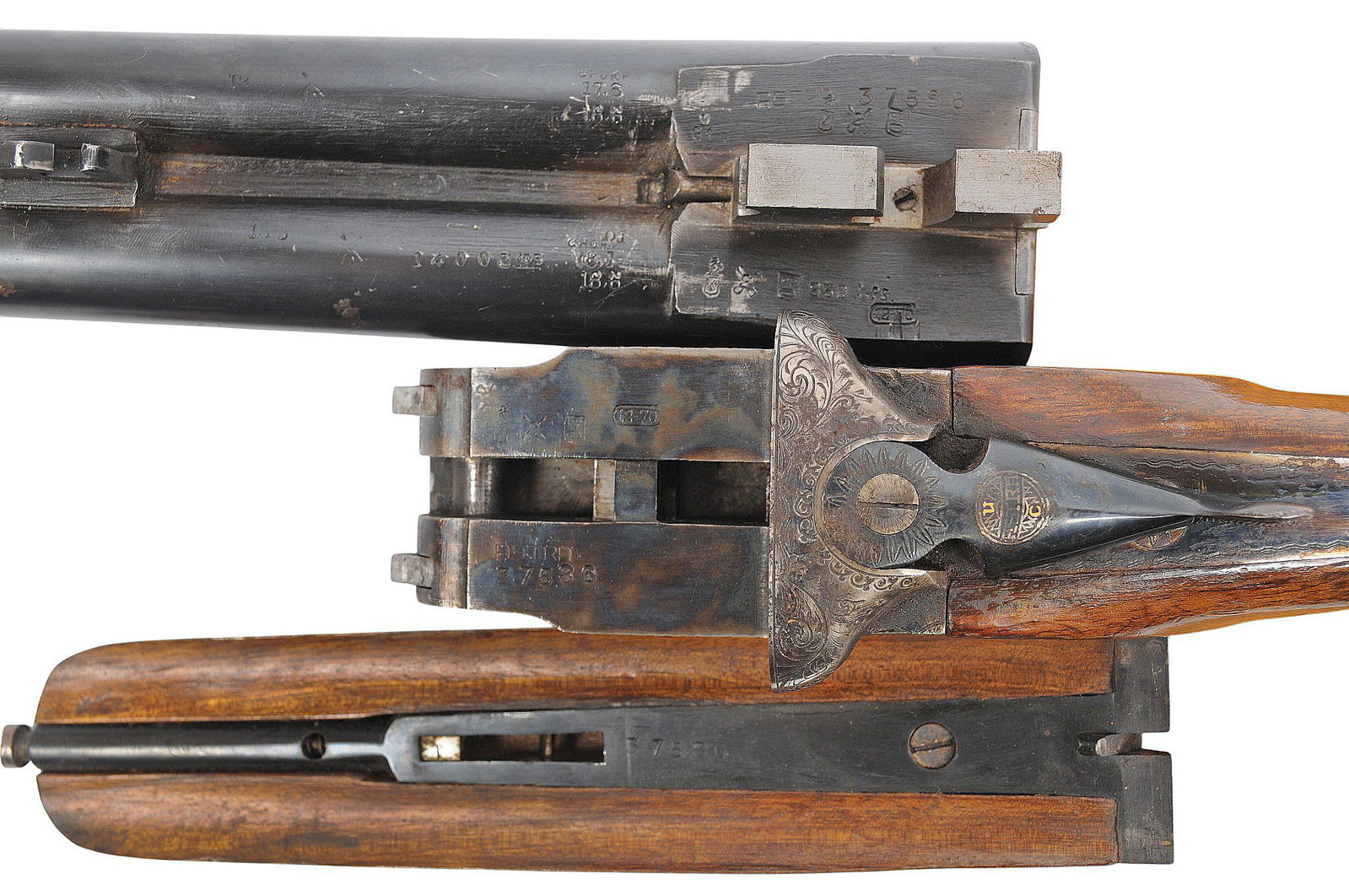 SHOTGUN (A1) - 11
