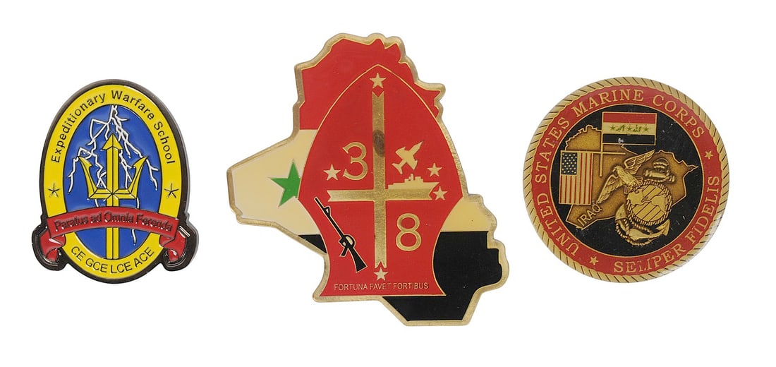 US Marine Corps Expeditionary Warfare School and RCT 1,7, and 8 Challenge Coin Lot of 3 (EDN): A US Marine Corps Expeditionary Warfare School and RCT 1,7, and 8 Challenge Coin Lot of 3 in good to very good condition.
