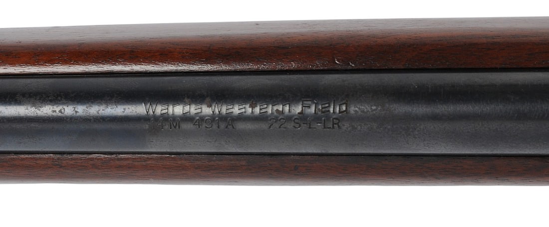 RIFLE (LPA1) - 8