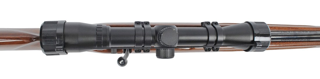 RIFLE (RDW1) - 4