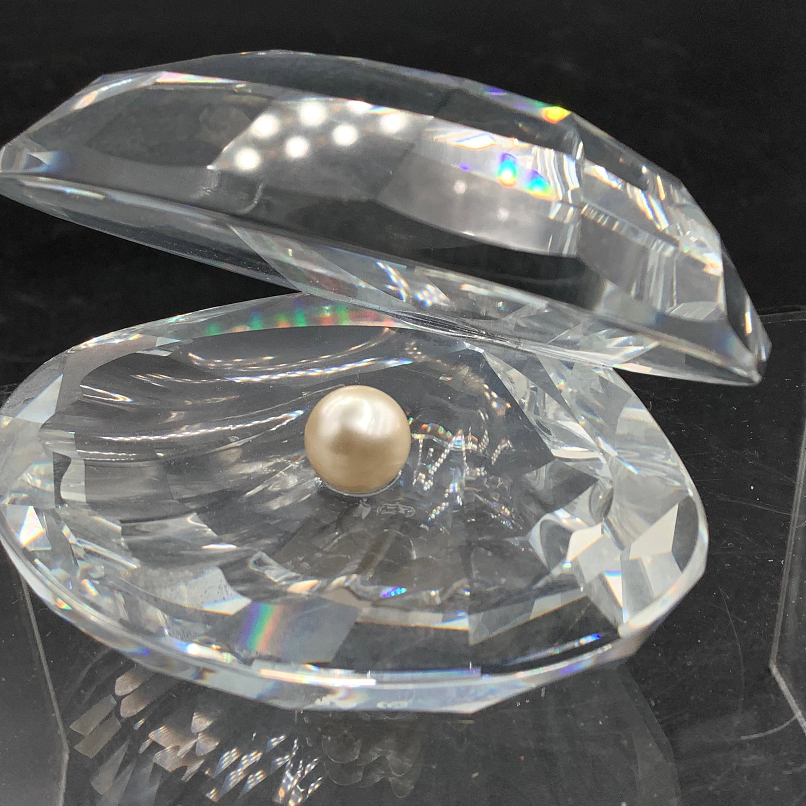 Swarovski Clam and Pearl: Swarovski Clam with Pearl 2.5 inches
