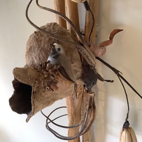 Natural Art-Bird with Bird Nest on Driftwood Mount with Dried Flowers